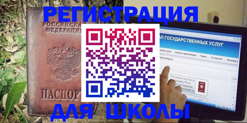 прописка для школы в Сольцах